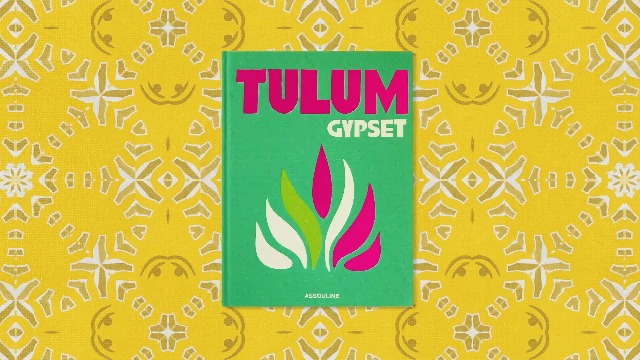 Tulum Gypset: Chaplin, Julia: 9781614288473: Books - Amazon.ca